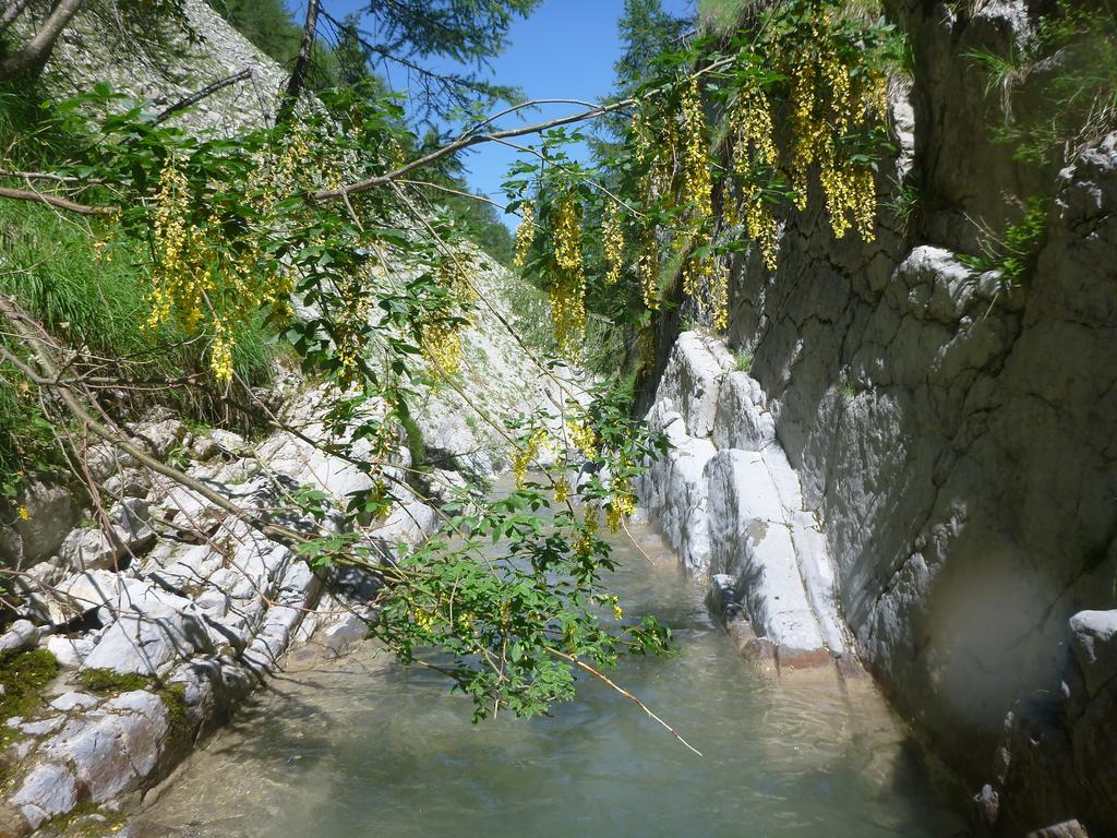 Gite Belle Valette Prads-Haute-Bléone Exterior foto